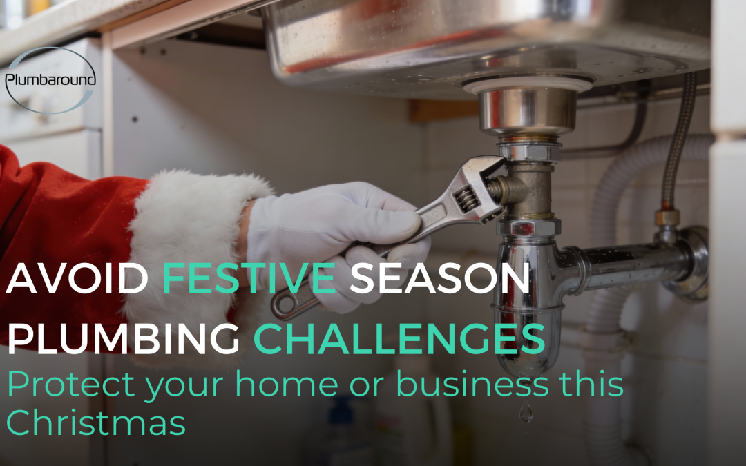 Avoid Festive Season Plumbing Challenges